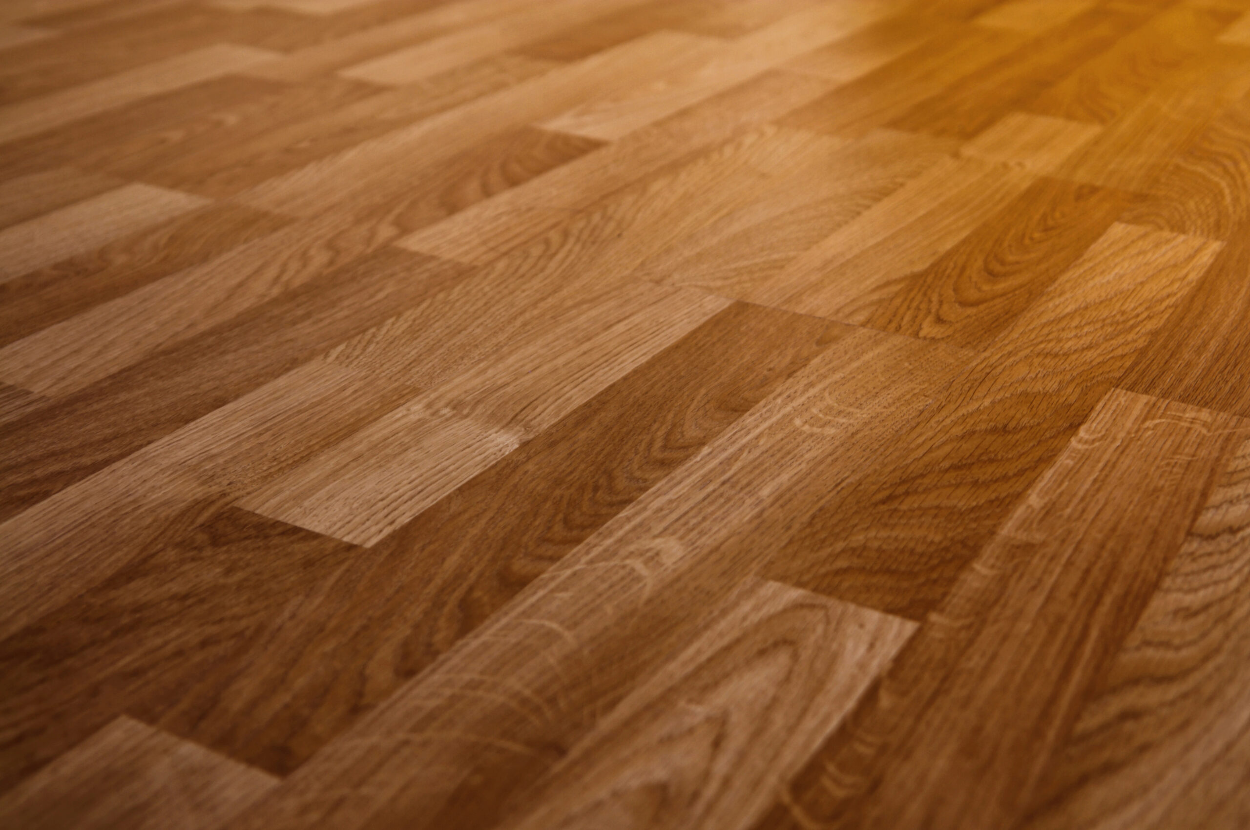 Adhesive Dispensing for Engineered Flooring | UNIFLOW